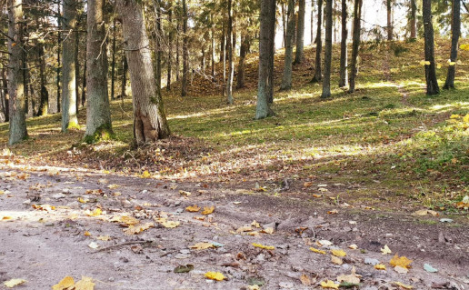 10_Lūžų piliakalnis (2).jpg